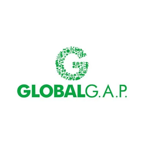 3 frantoio principe paviro torremaggiore certificazione global gap 1