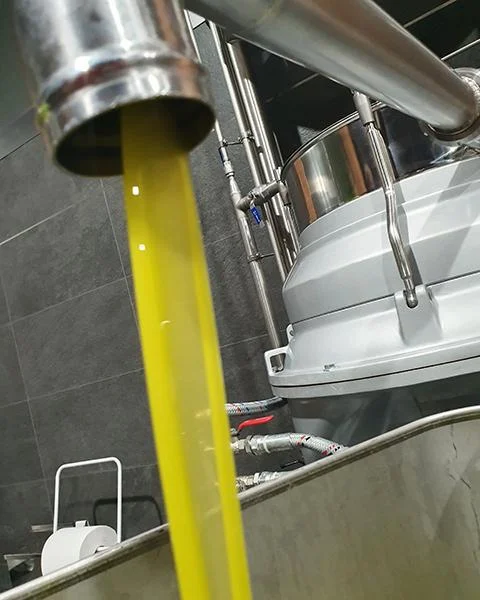 Estrazione Olio Frantoio Principe Paviro Olio che fuoriesce
